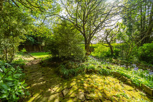 REAR GARDEN- click for photo gallery